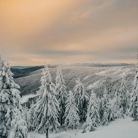 Aparthotel Elements Świeradów-Zdrój