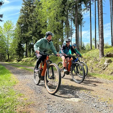 Aparthotel Elements 4*