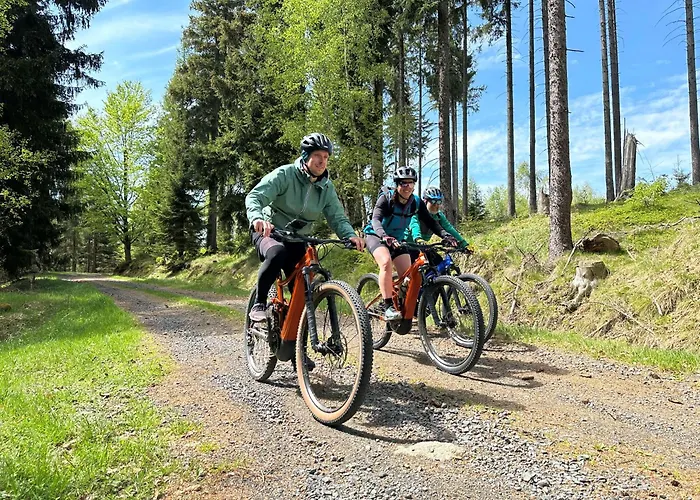 Aparthotel Elements 4*